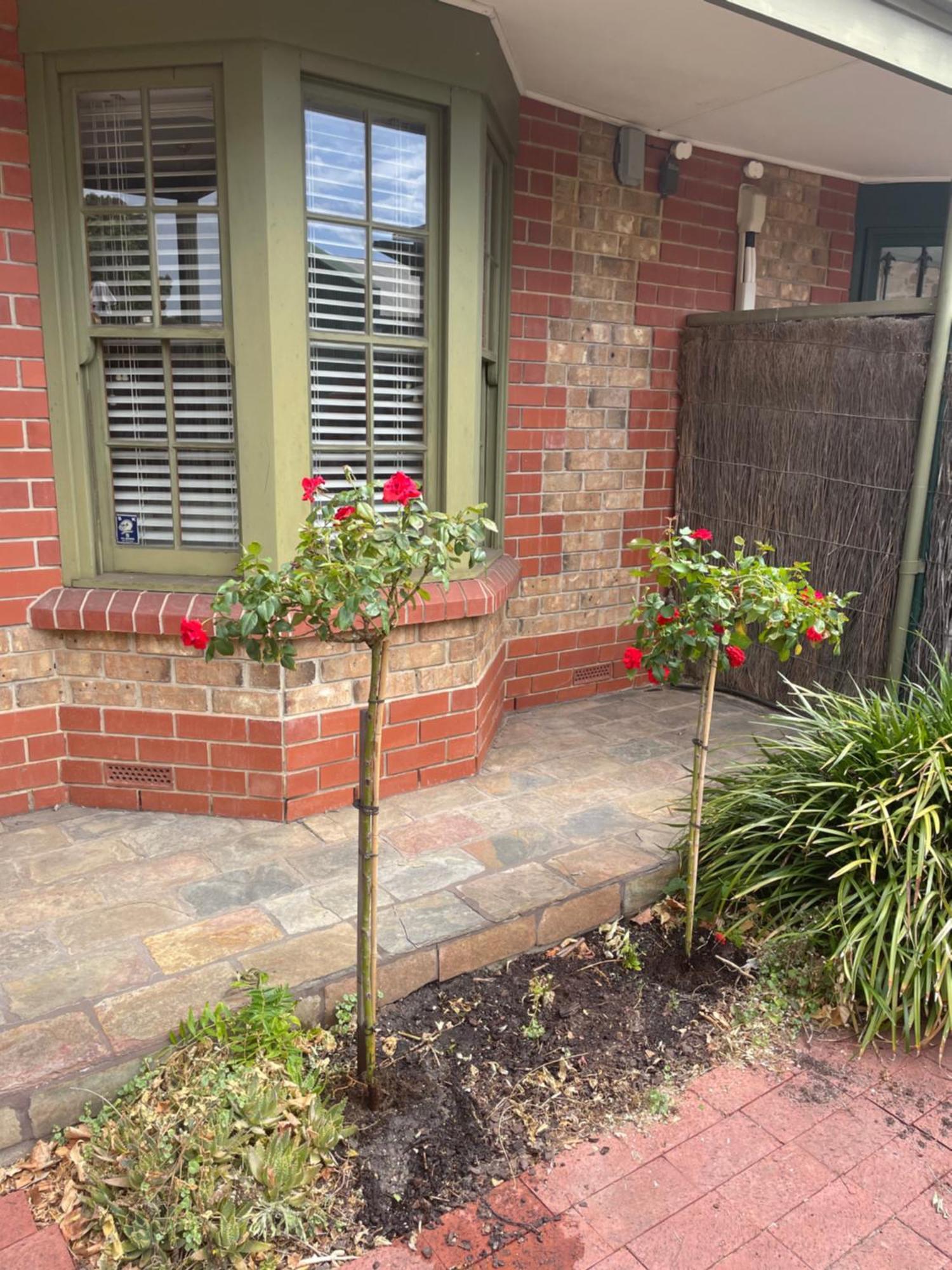 Adelaide Style Accommodation-Getaway In North Adelaide- Close To City Экстерьер фото