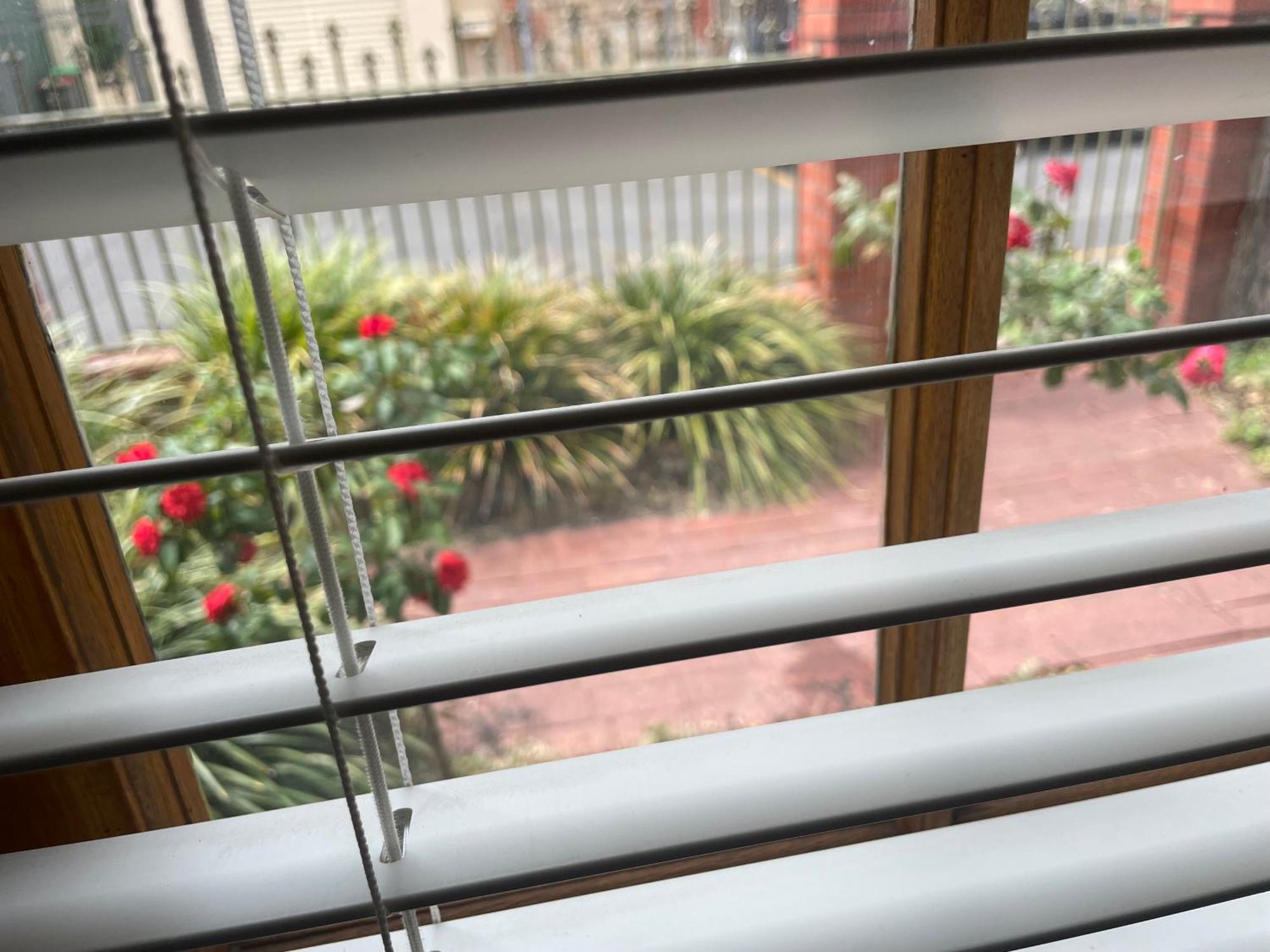 Adelaide Style Accommodation-Getaway In North Adelaide- Close To City Экстерьер фото