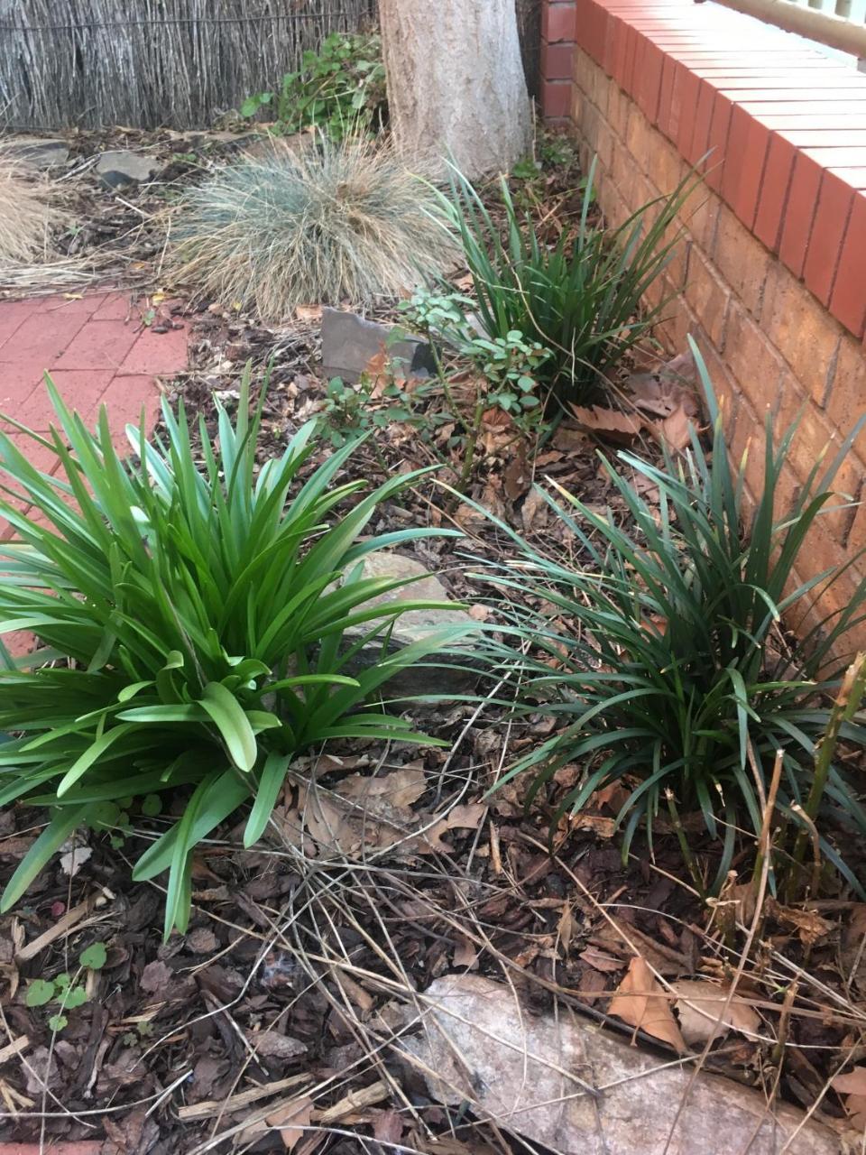 Adelaide Style Accommodation-Getaway In North Adelaide- Close To City Экстерьер фото