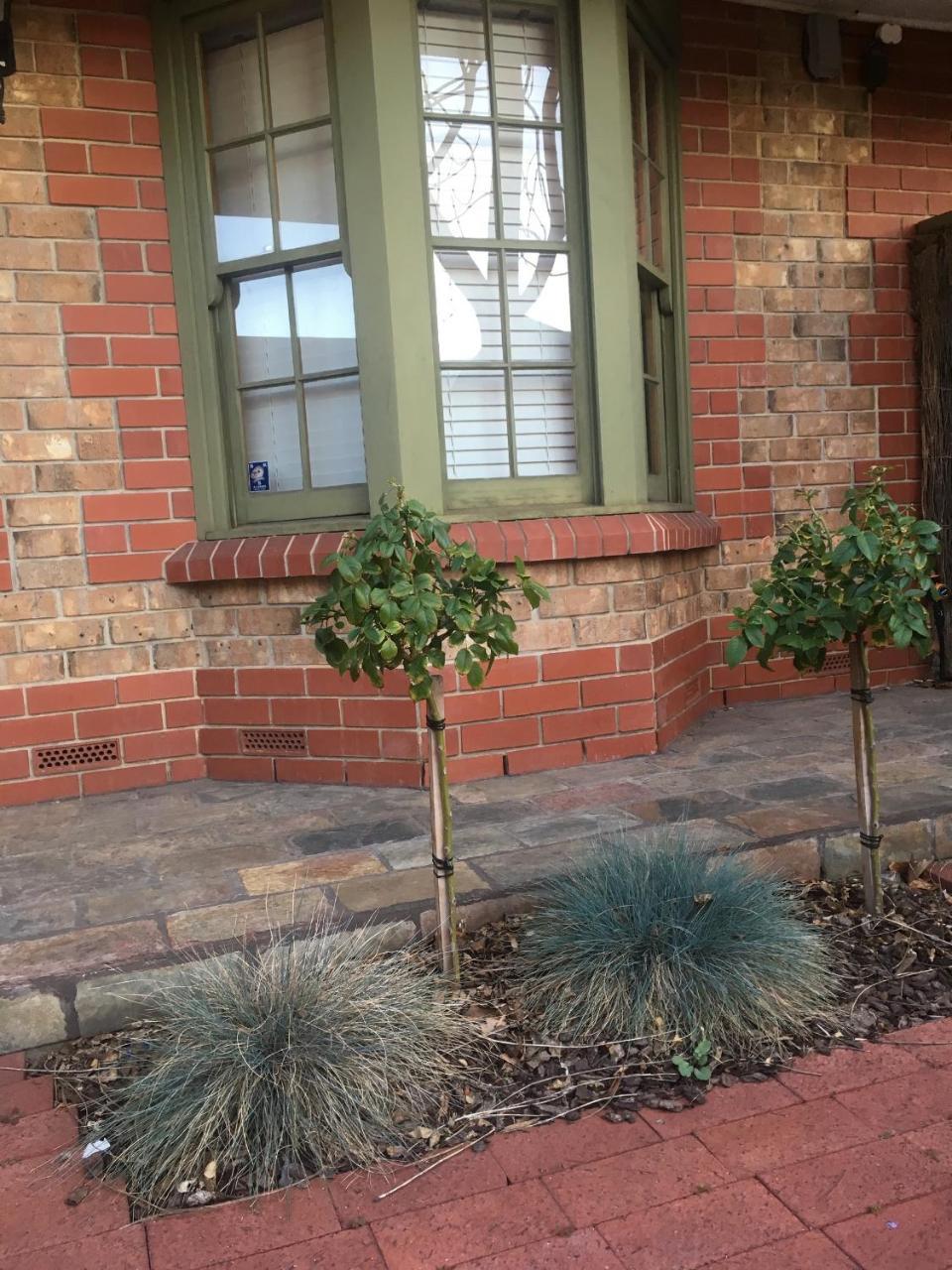 Adelaide Style Accommodation-Getaway In North Adelaide- Close To City Экстерьер фото